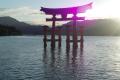 k (4)